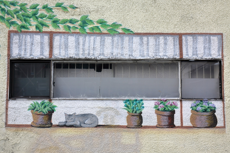 Illustration for article titled Pics from the Curbside: 2018-09-23 to Shaughnessy